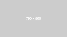 dummy_790x500_ffffff_cccccc