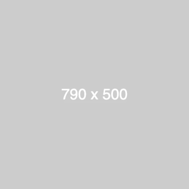 dummy_790x500_ffffff_cccccc
